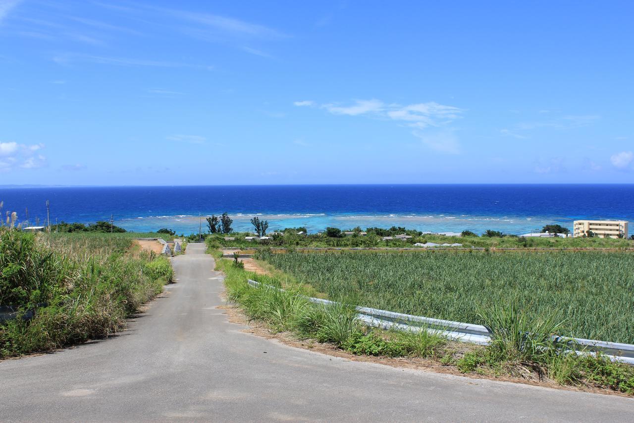 Panorama Ocean View Cottage Мотобу Экстерьер фото