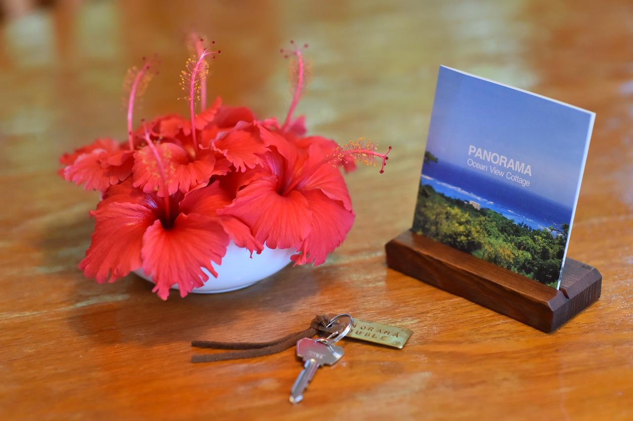 Panorama Ocean View Cottage Мотобу Экстерьер фото