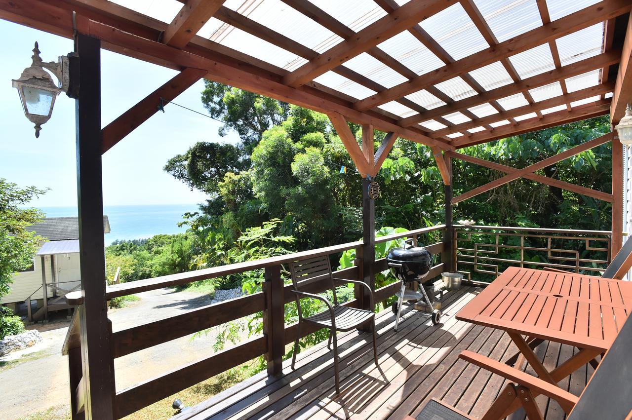 Panorama Ocean View Cottage Мотобу Экстерьер фото