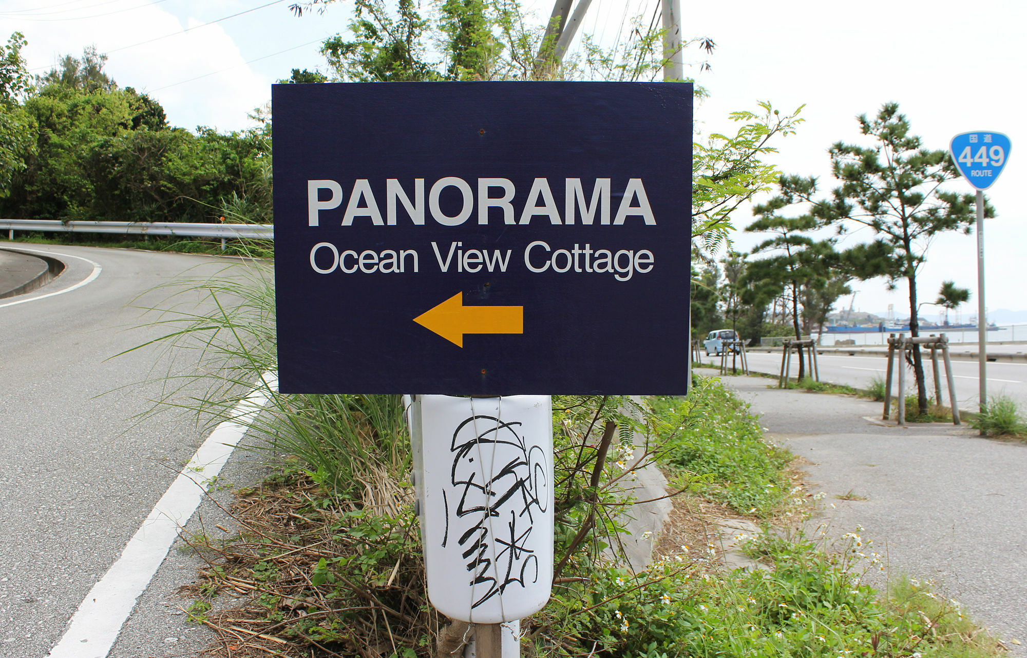 Panorama Ocean View Cottage Мотобу Экстерьер фото