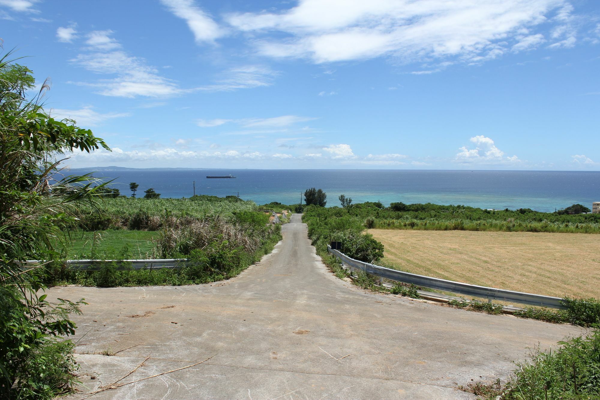 Panorama Ocean View Cottage Мотобу Экстерьер фото